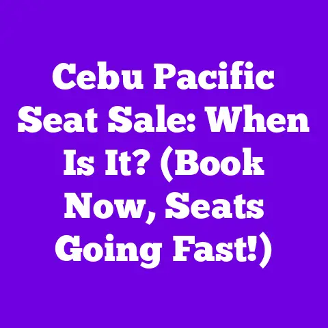Cebu Pacific Seat Sale: When Is It? (Book Now, Seats Going Fast!)