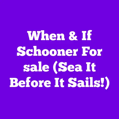 When & If Schooner For sale (Sea It Before It Sails!)