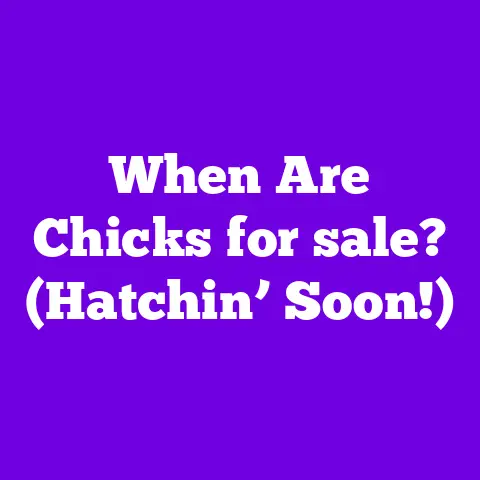 When Are Chicks for sale? (Hatchin’ Soon!)