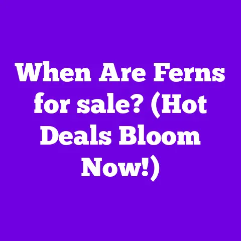 When Are Ferns for sale? (Hot Deals Bloom Now!)