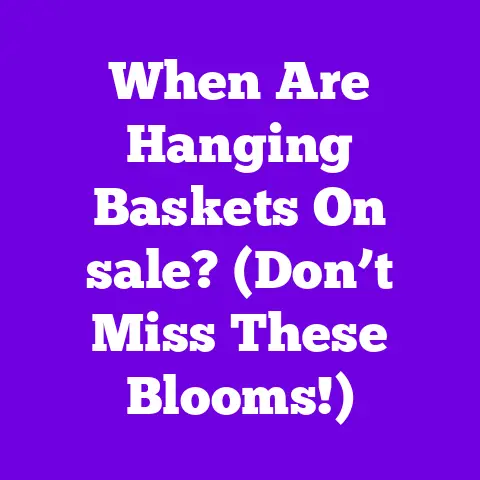 When Are Hanging Baskets On sale? (Don’t Miss These Blooms!)