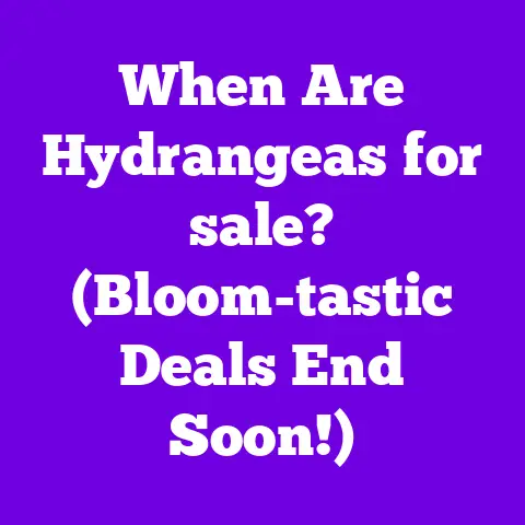 When Are Hydrangeas for sale? (Bloom-tastic Deals End Soon!)