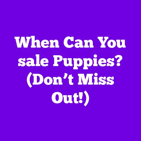 When Can You sale Puppies? (Don’t Miss Out!)