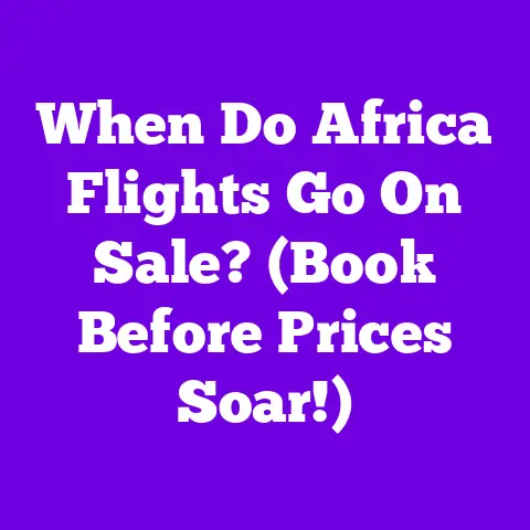 When Do Africa Flights Go On Sale? (Book Before Prices Soar!)