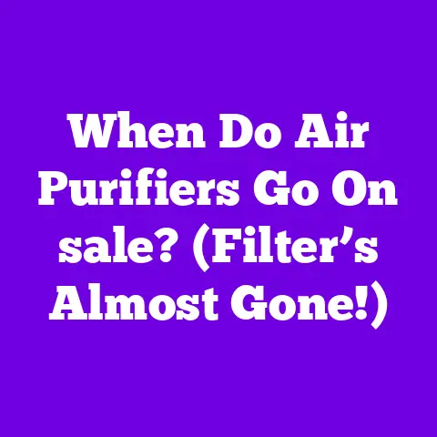 When Do Air Purifiers Go On sale? (Filter’s Almost Gone!)