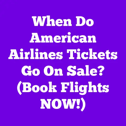 When Do American Airlines Tickets Go On Sale? (Book Flights NOW!)