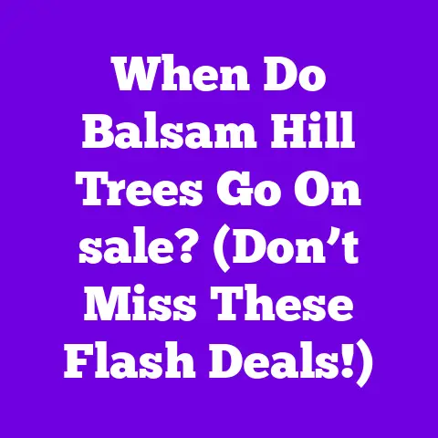 When Do Balsam Hill Trees Go On sale? (Don’t Miss These Flash Deals!)