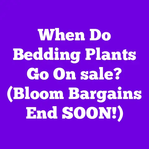 When Do Bedding Plants Go On sale? (Bloom Bargains End SOON!)