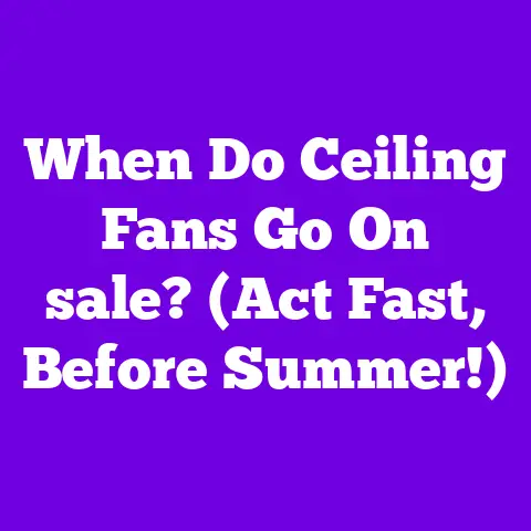 When Do Ceiling Fans Go On sale? (Act Fast, Before Summer!)