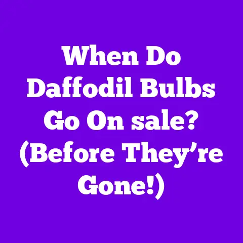 When Do Daffodil Bulbs Go On sale? (Before They’re Gone!)