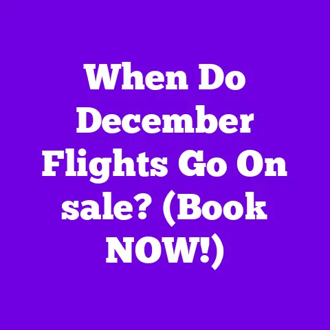 When Do December Flights Go On sale? (Book NOW!)