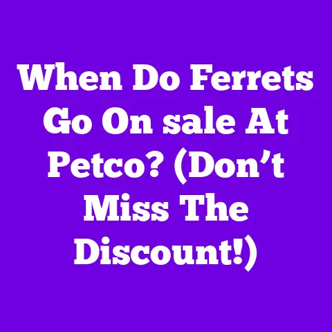 When Do Ferrets Go On sale At Petco? (Don’t Miss The Discount!)