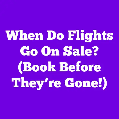 When Do Flights Go On Sale? (Book Before They’re Gone!)