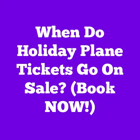 When Do Holiday Plane Tickets Go On Sale? (Book NOW!)