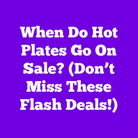 When Do Hot Plates Go On Sale? (Don’t Miss These Flash Deals!)