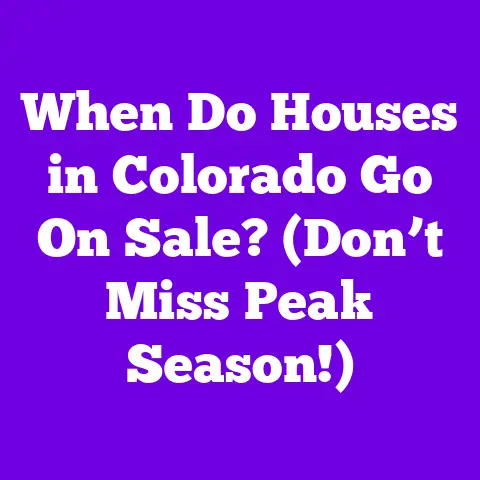 When Do Houses in Colorado Go On Sale? (Don’t Miss Peak Season!)