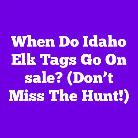 When Do Idaho Elk Tags Go On sale? (Don’t Miss The Hunt!)