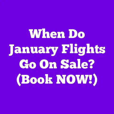 When Do January Flights Go On Sale? (Book NOW!)