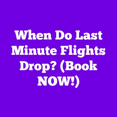 When Do Last Minute Flights Drop? (Book NOW!)