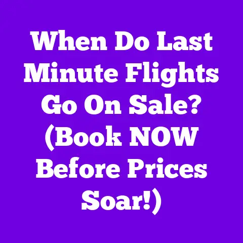 When Do Last Minute Flights Go On Sale? (Book NOW Before Prices Soar!)
