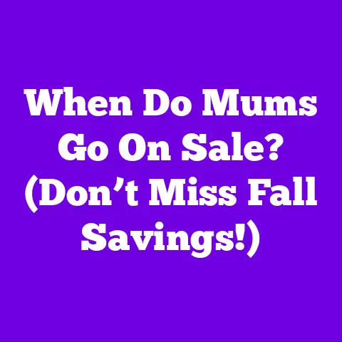 When Do Mums Go On Sale? (Don’t Miss Fall Savings!)