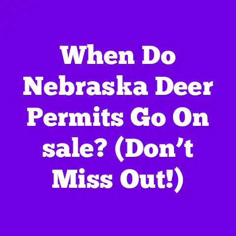 When Do Nebraska Deer Permits Go On sale? (Don’t Miss Out!)