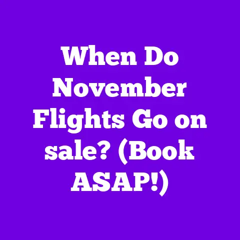 When Do November Flights Go on sale? (Book ASAP!)