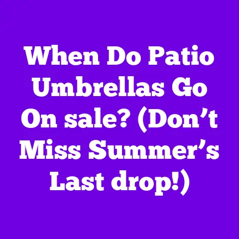 When Do Patio Umbrellas Go On sale? (Don’t Miss Summer’s Last drop!)