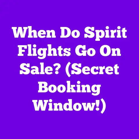 When Do Spirit Flights Go On Sale? (Secret Booking Window!)