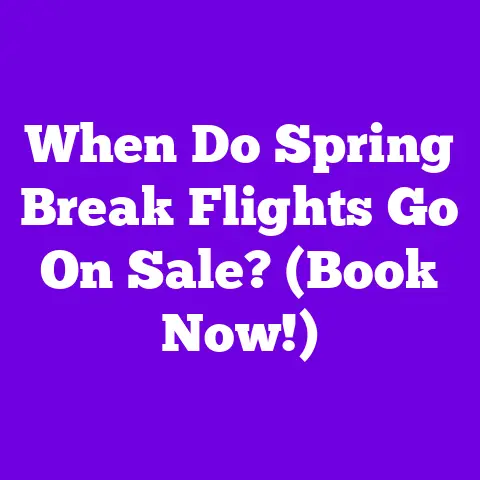 When Do Spring Break Flights Go On Sale? (Book Now!)