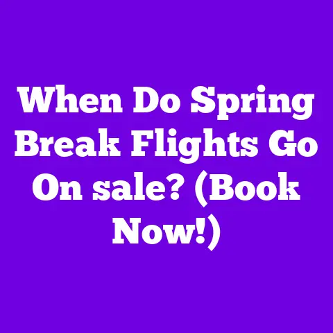 When Do Spring Break Flights Go On sale? (Book Now!)
