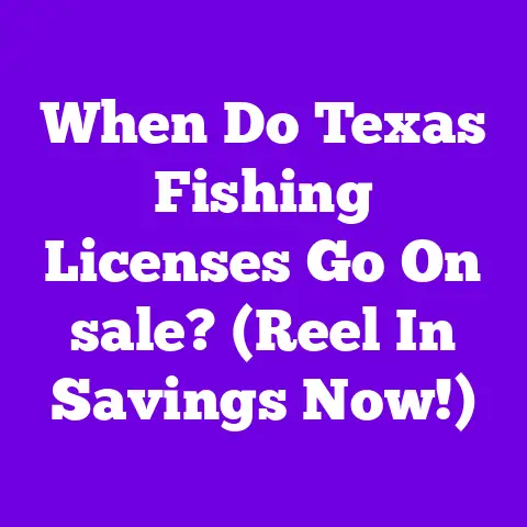 When Do Texas Fishing Licenses Go On sale? (Reel In Savings Now!)