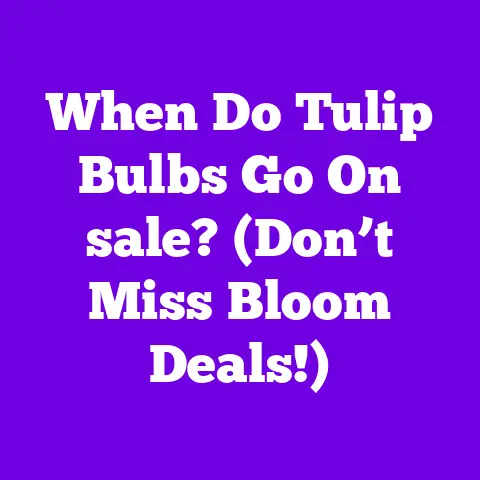 When Do Tulip Bulbs Go On sale? (Don’t Miss Bloom Deals!)