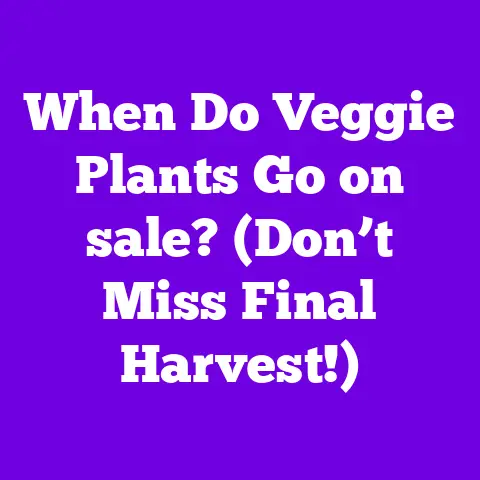When Do Veggie Plants Go on sale? (Don’t Miss Final Harvest!)