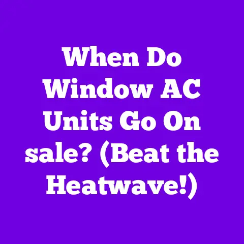 When Do Window AC Units Go On sale? (Beat the Heatwave!)