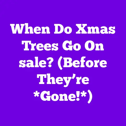 When Do Xmas Trees Go On sale? (Before They’re *Gone!*)