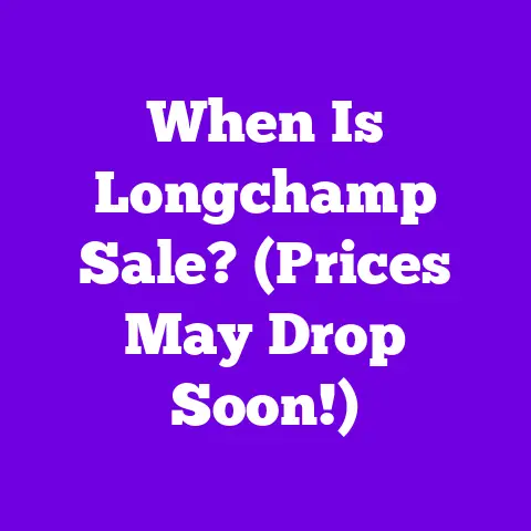 When Is Longchamp Sale? (Prices May Drop Soon!)