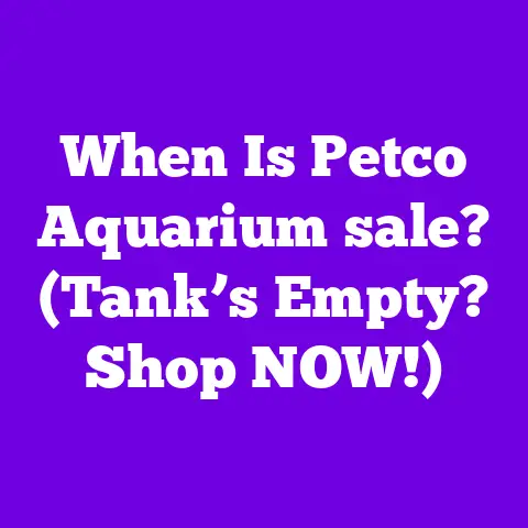 When Is Petco Aquarium sale? (Tank’s Empty? Shop NOW!)