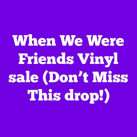 When We Were Friends Vinyl sale (Don’t Miss This drop!)