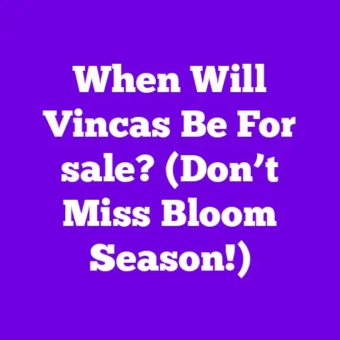 When Will Vincas Be For sale? (Don’t Miss Bloom Season!)