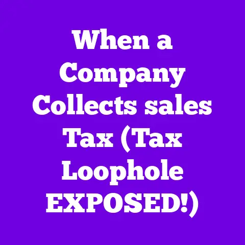 When a Company Collects sales Tax (Tax Loophole EXPOSED!)