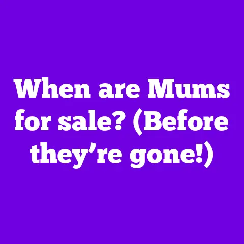 When are Mums for sale? (Before they’re gone!)