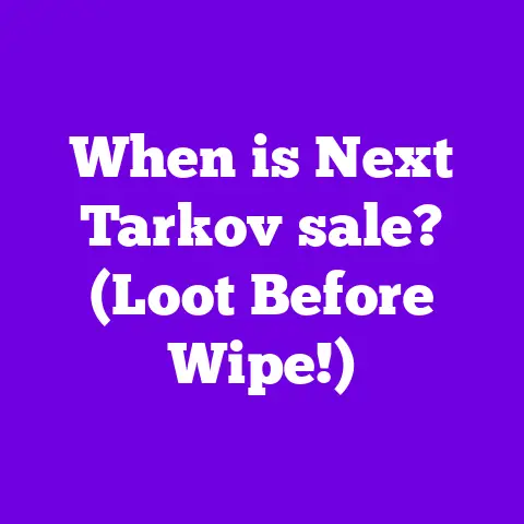 When is Next Tarkov sale? (Loot Before Wipe!)