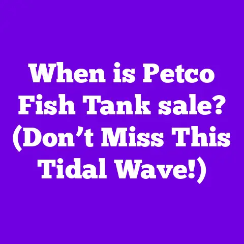 When is Petco Fish Tank sale? (Don’t Miss This Tidal Wave!)