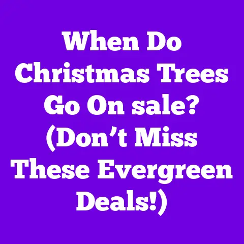 When Do Christmas Trees Go On sale? (Don’t Miss These Evergreen Deals!)
