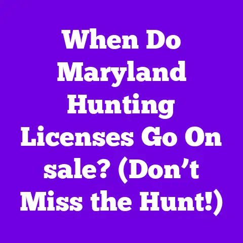 When Do Maryland Hunting Licenses Go On sale? (Don’t Miss the Hunt!)