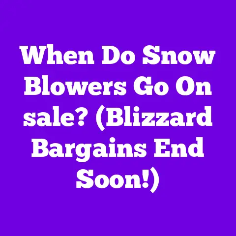 When Do Snow Blowers Go On sale? (Blizzard Bargains End Soon!)