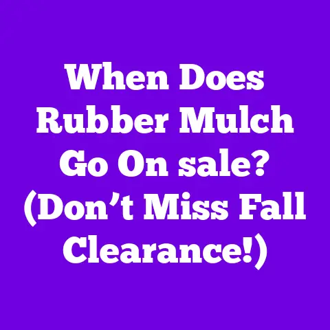 When Does Rubber Mulch Go On sale? (Don’t Miss Fall Clearance!)
